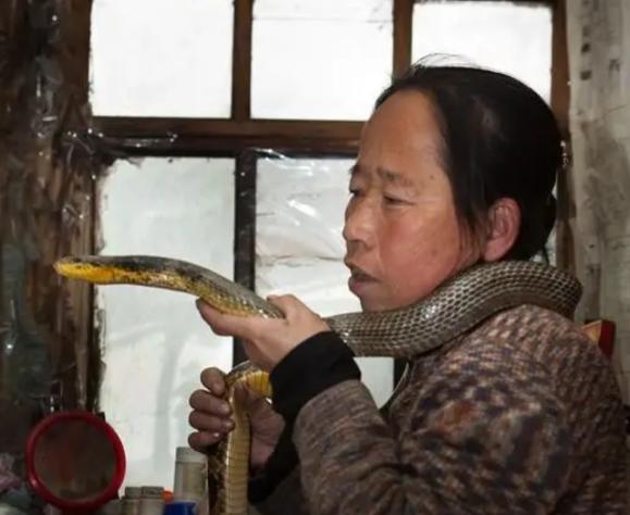 1995年，一名吉林农妇救了一条毒蛇，但屡次放生都以失败告终，毒蛇总能回到家门口