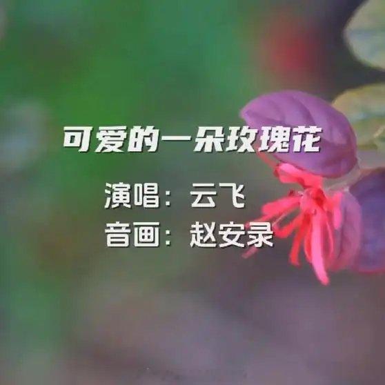 《云飞演唱《可爱的一朵玫瑰花》新大陆计划》播放量：78作者：赵安录网页链接