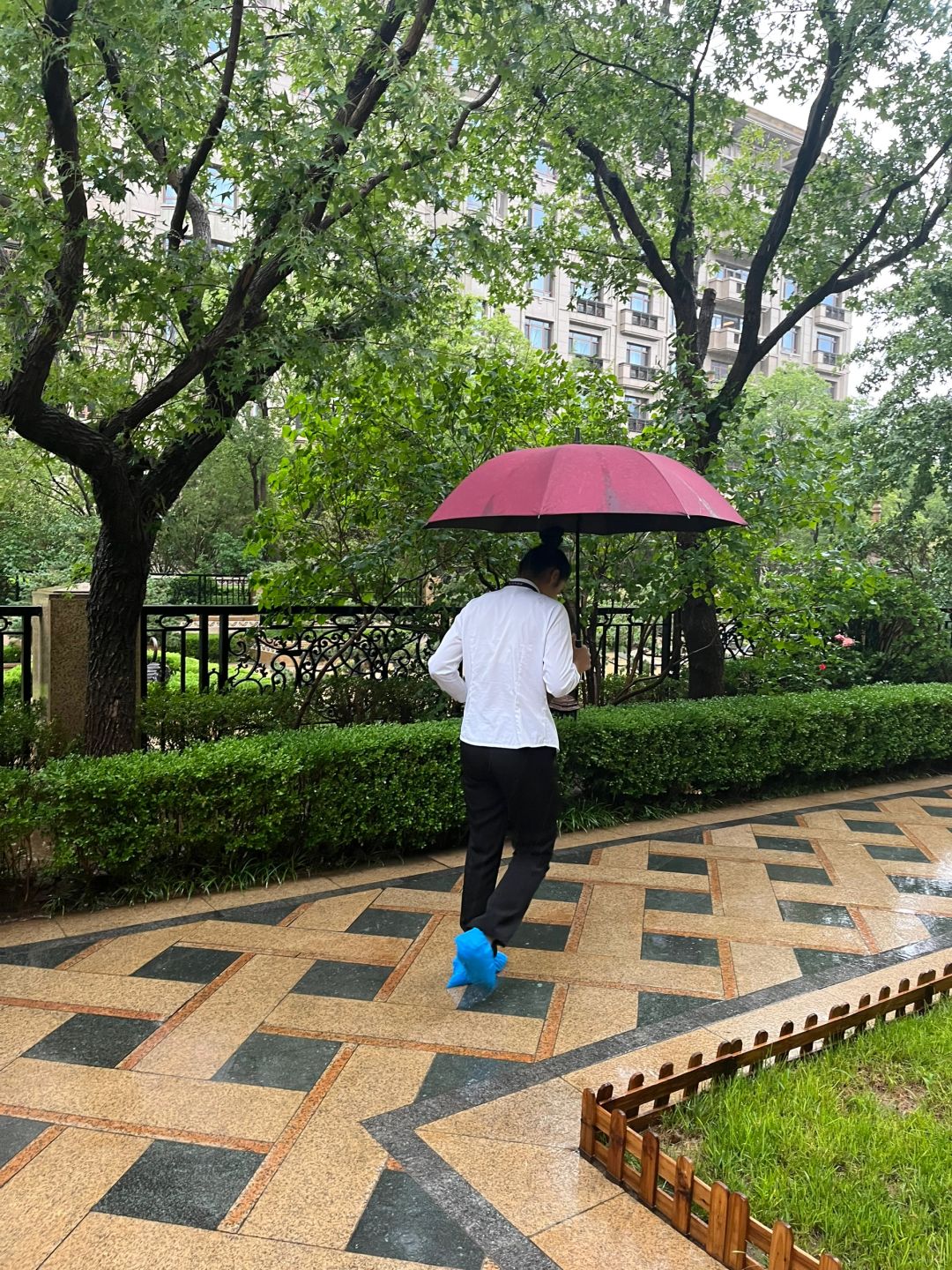 雨中的泛海世家，也是超级美的~