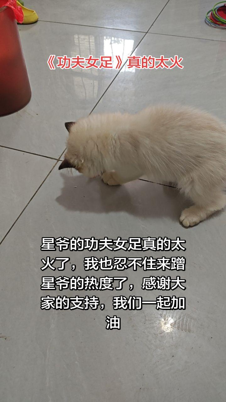 希望星爷的「功夫女足」也如当年的（功夫）一样火遍全球，加油