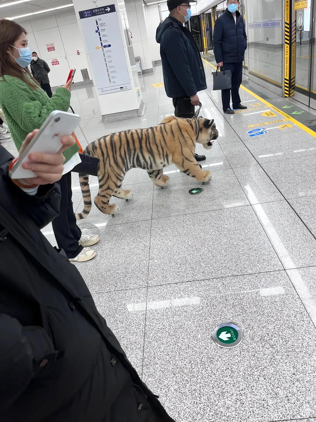 山东济南地铁站看到的一幕。。这其实是一个小车，脚掌下面有四个轮子，细节真的处理的