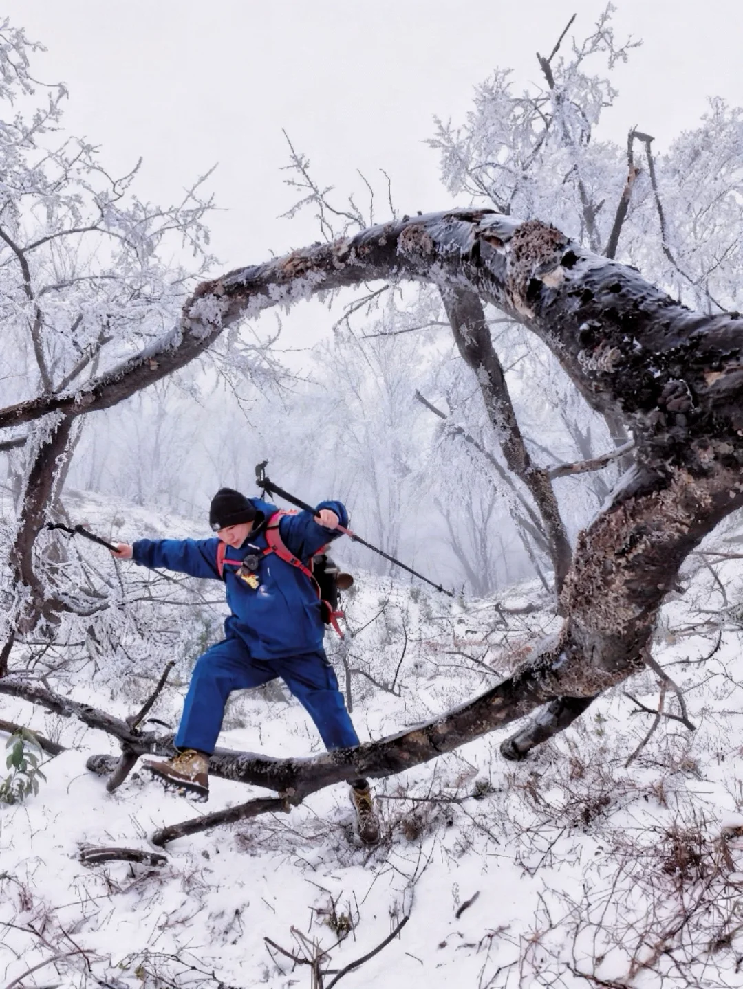 武汉下雪了！冲个“雪山”山顶吃火锅！