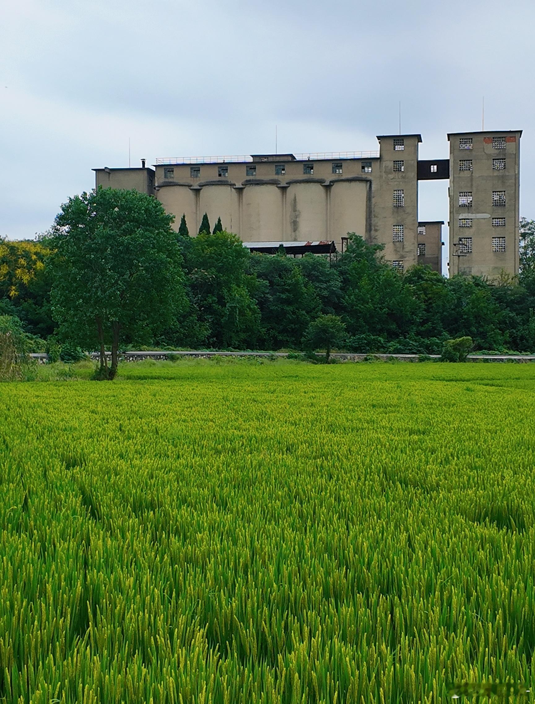 大胆一点，反正你只活一次，生命只有一次，哪里有那么多时光用来说“我不会”“我害怕