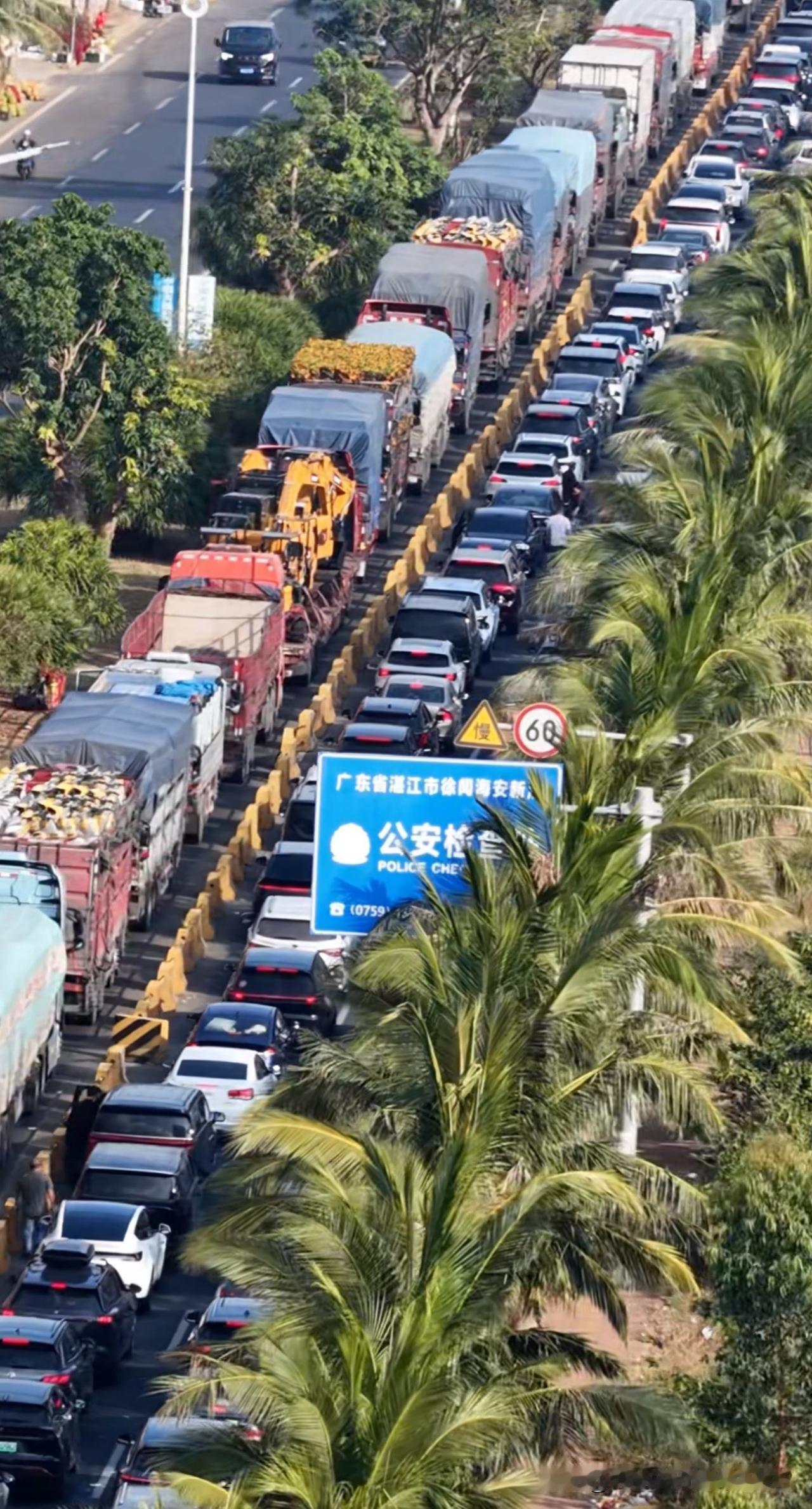 春节期间的三亚不是对普通人服务的，自驾去三亚是省钱了，却有遭不完的罪，有网友吐槽