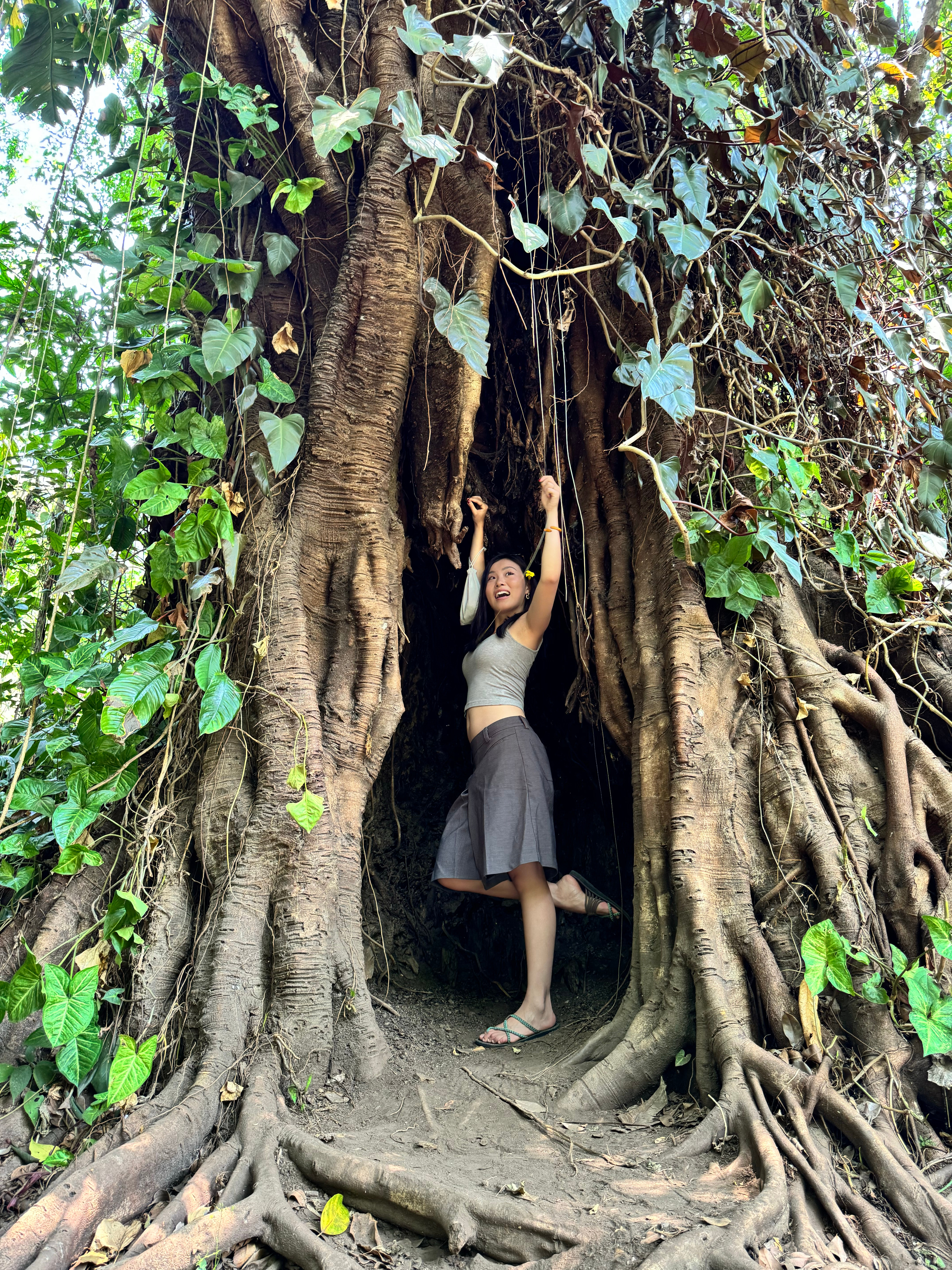 大理下冷雨的这天，我用照片回到热带。  ​​​