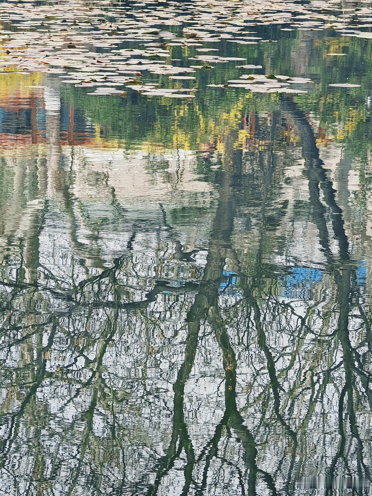 太极光影01/水中摇曳的春光。让春光空掉自己。一切美好向你走来！