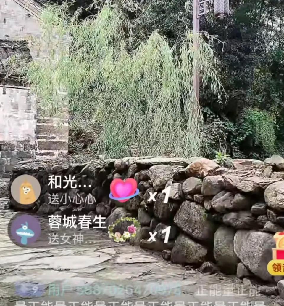 毛毛姐要修改大数据的梗在这里，她在大数据上已经被定性，臭名昭著。
柴桑大姐今天直