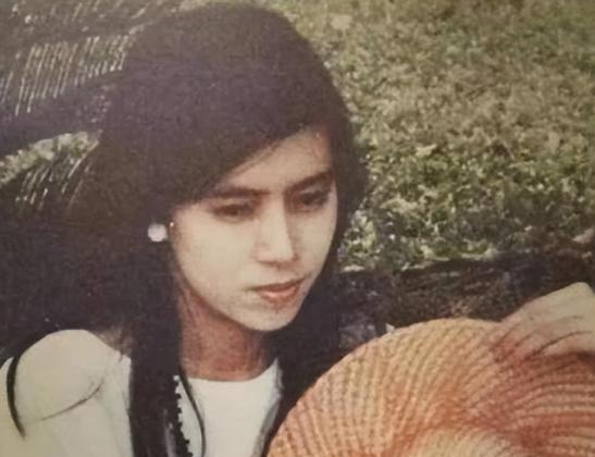 1976年，19岁的许纯美去富豪家玩时，被李文清强暴却不幸“中彩”，为了面子，许