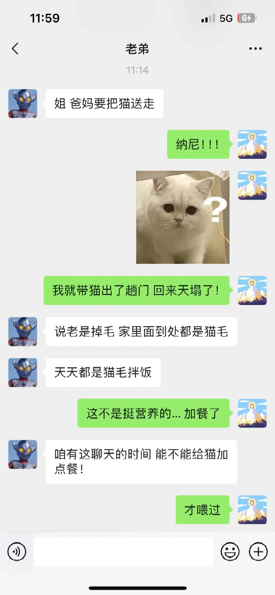 爸妈要把猫咪送走，弟弟真的拼了...