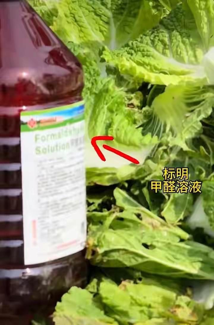 大白菜被曝蘸甲醛保鲜，食品安全总在不断刷新认知
 
刷到这样的新闻，内心却没有太