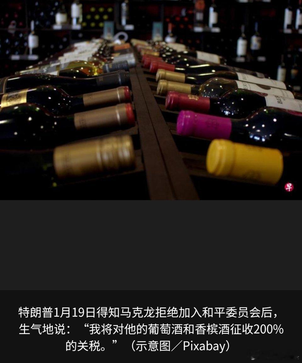 和平委员会川普还真是把顺我者昌，逆我者亡的丛林法则演绎地淋漓尽致。即便是对所谓的