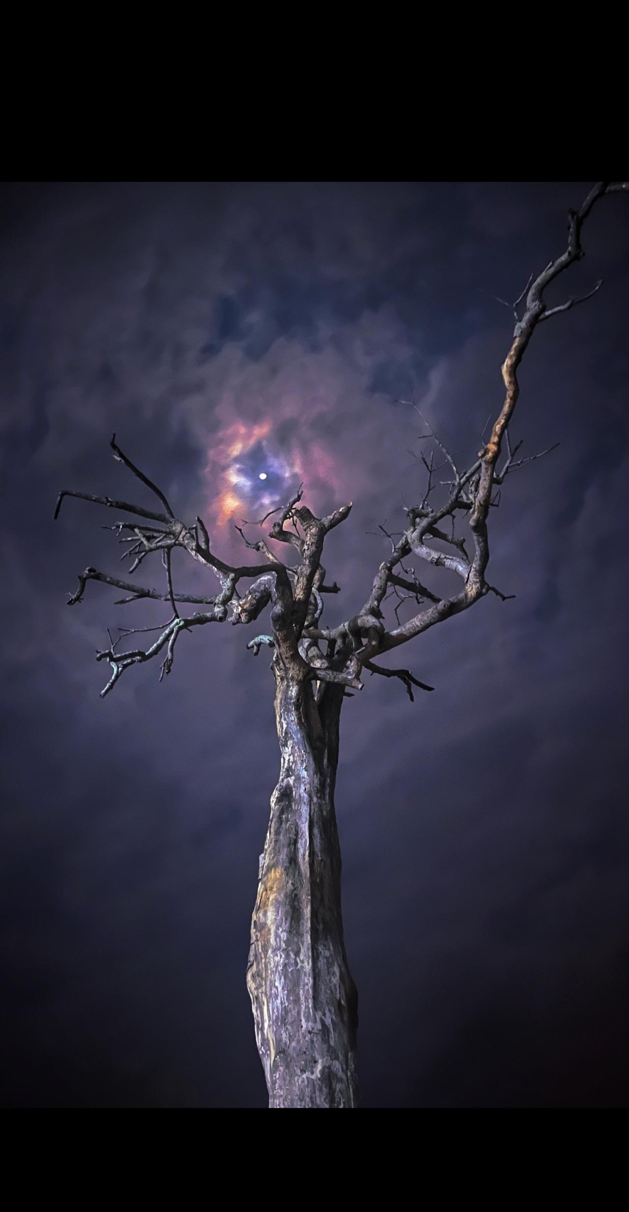 年过完了，突然的安静要怎么表达？拍一张照片#年过完了该挣钱了