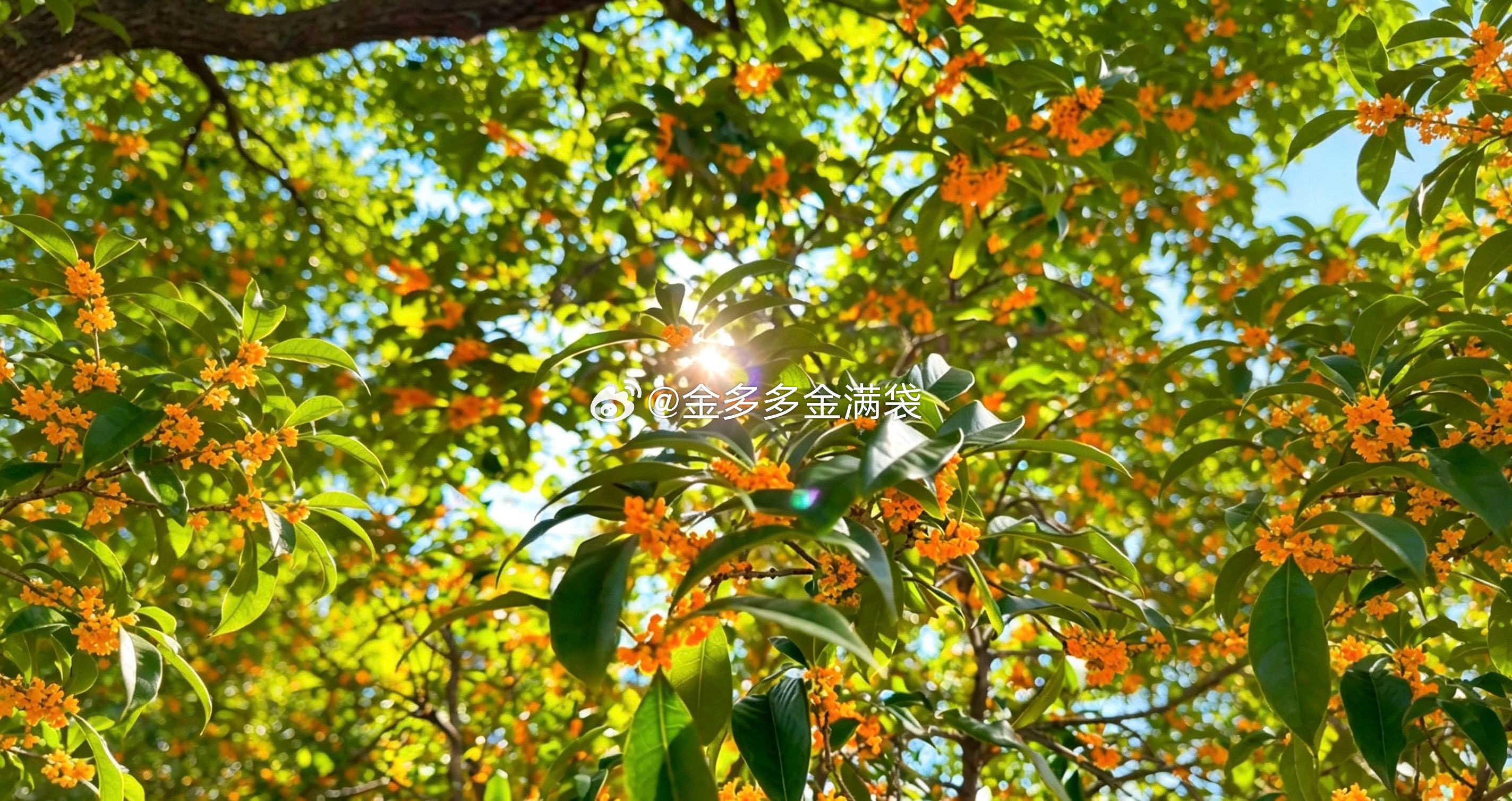 指数又再次探底，双创也都是收红K，但整体趋势并没有发生变化，依然被5日线压制，趋