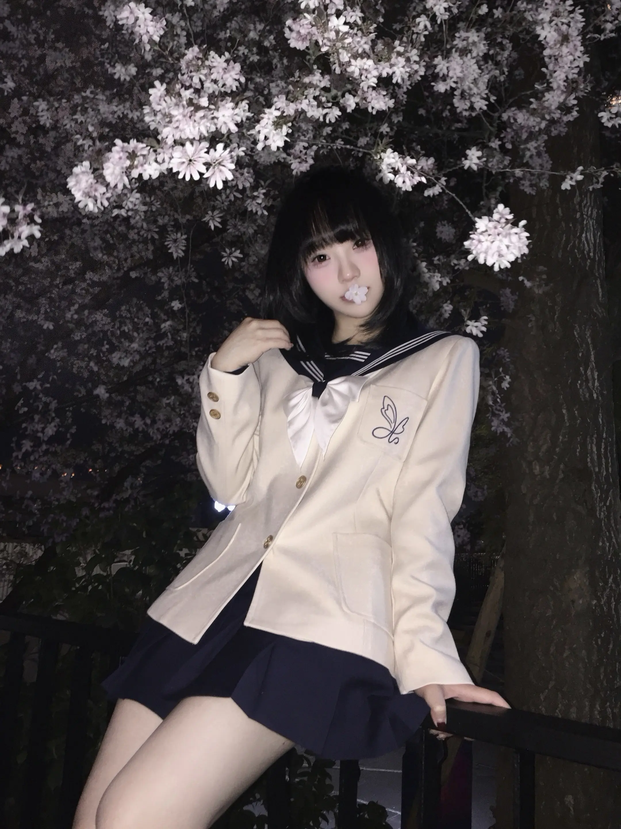 夜晚的樱 是我的隐喻。