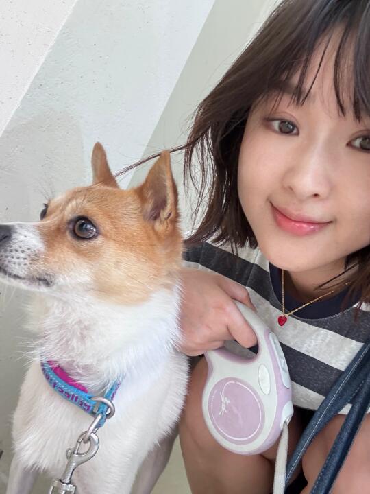 在4月29日徐汇滨江捡到的小狗终于有家了