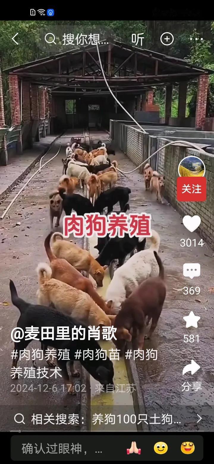 刚刚看了个视频，一个条友介绍，年纪大了回村创业，养殖肉狗就可以，不用养别的。
农