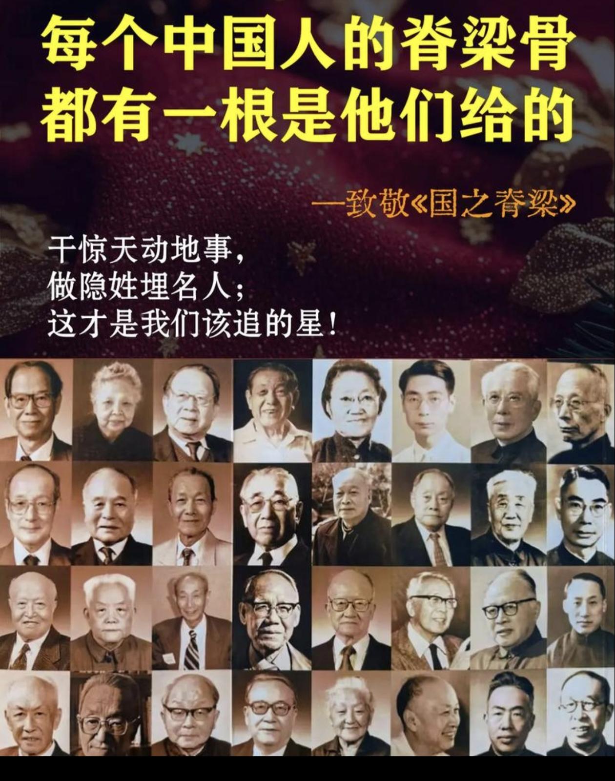 每日分享一句金句您们给了国人自豪底气。