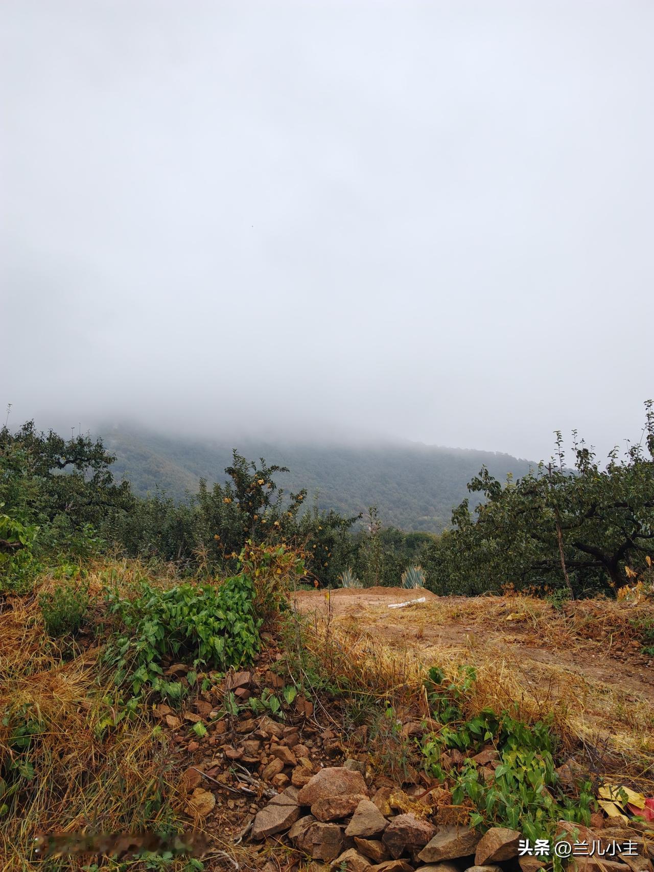 一张图记录深秋今日早上拍到的，昨晚下了点雨，天亮以后看大山雾气糟糟的。
