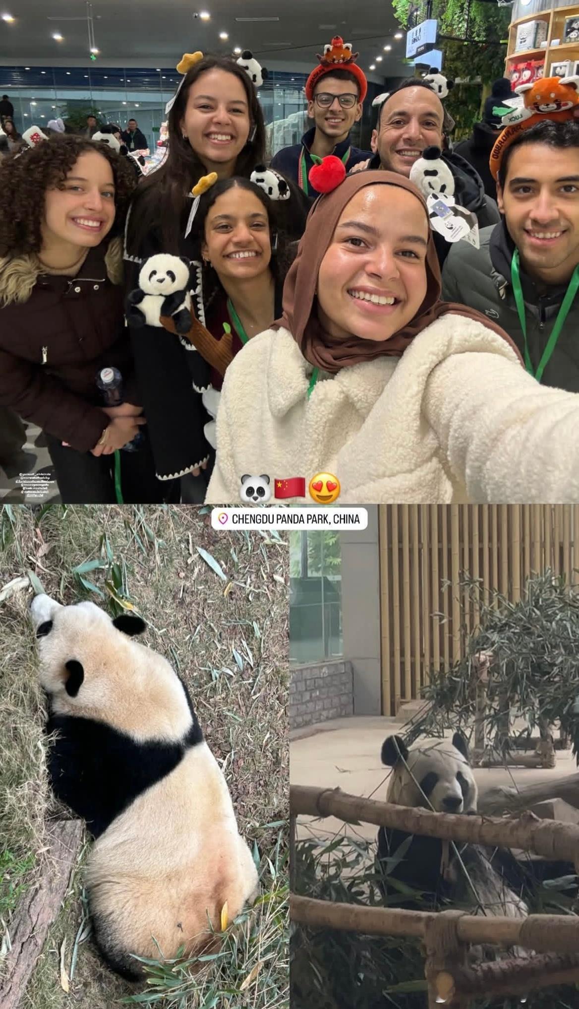 2025成都混合团体世界杯埃及队在成都看熊猫🐼的合影📸️ 