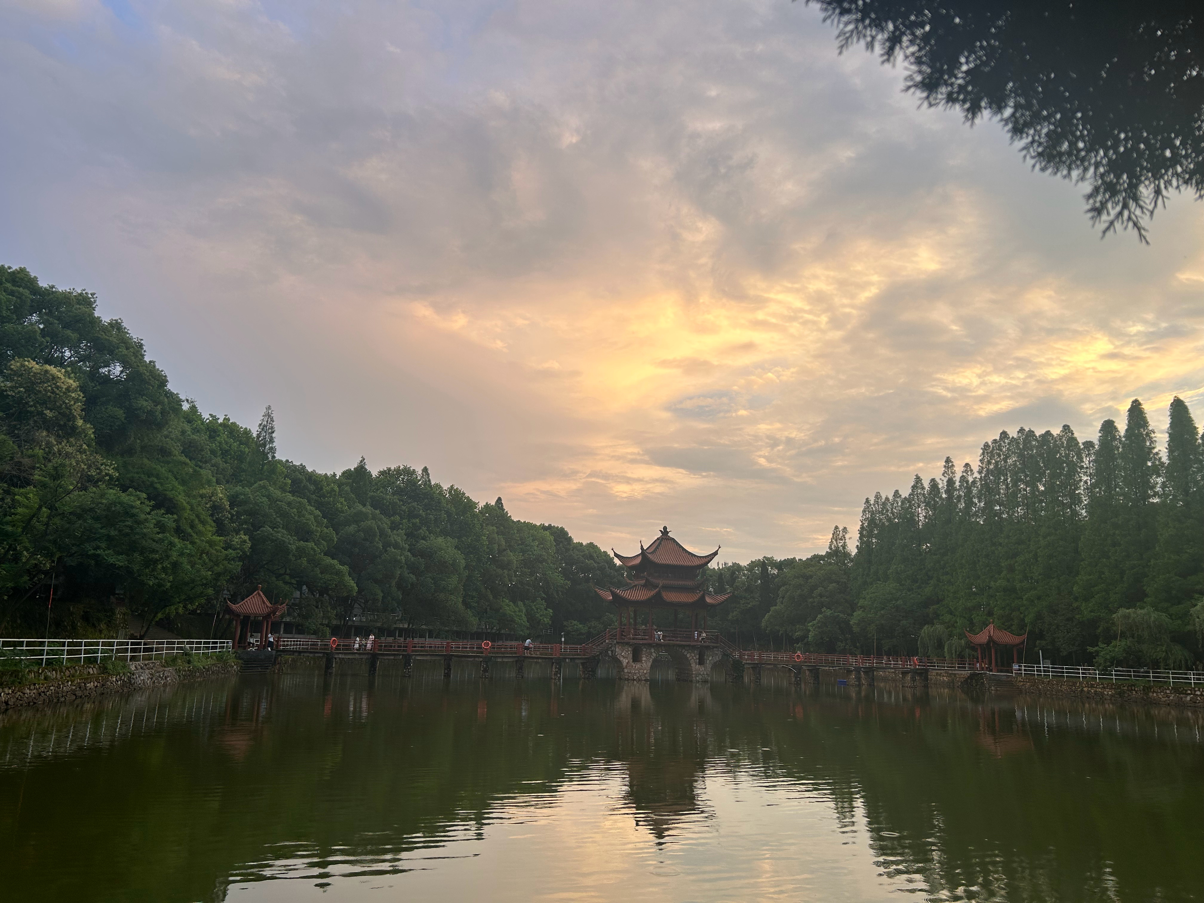 闷热的一天下了场雨 凉快多了校园里的晚霞🌅很美果然 抬头就会看到好风景 