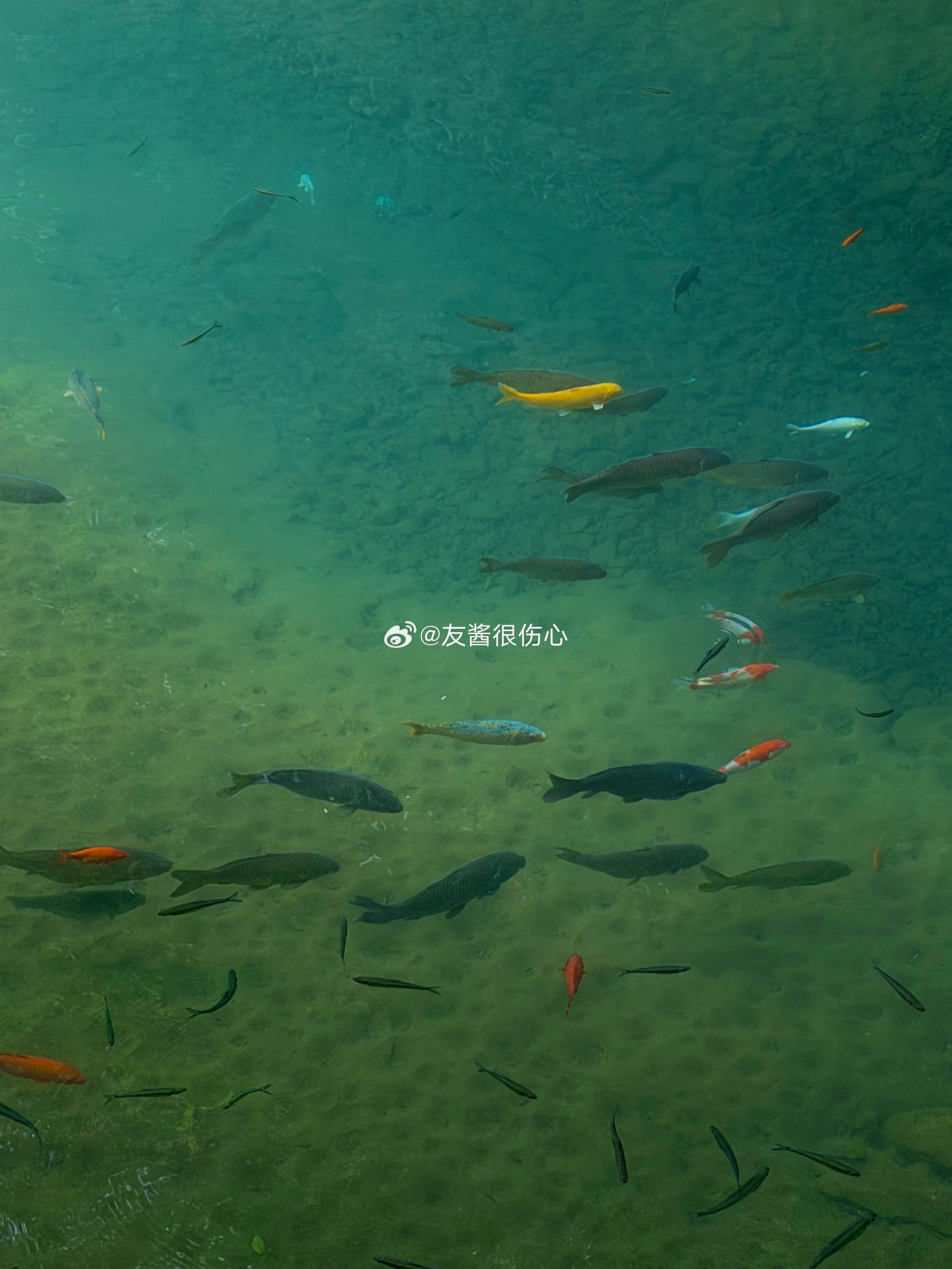 能让我快速回归平静 感受到幸福的 永远都是那些老掉牙 最淳朴的生活方式 在早起的