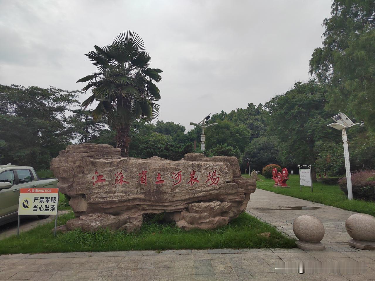 江苏广播听友团夏日探鲜记—三河农场采摘翠冠梨
昨天中午在荷街食堂吃过自助午餐后，