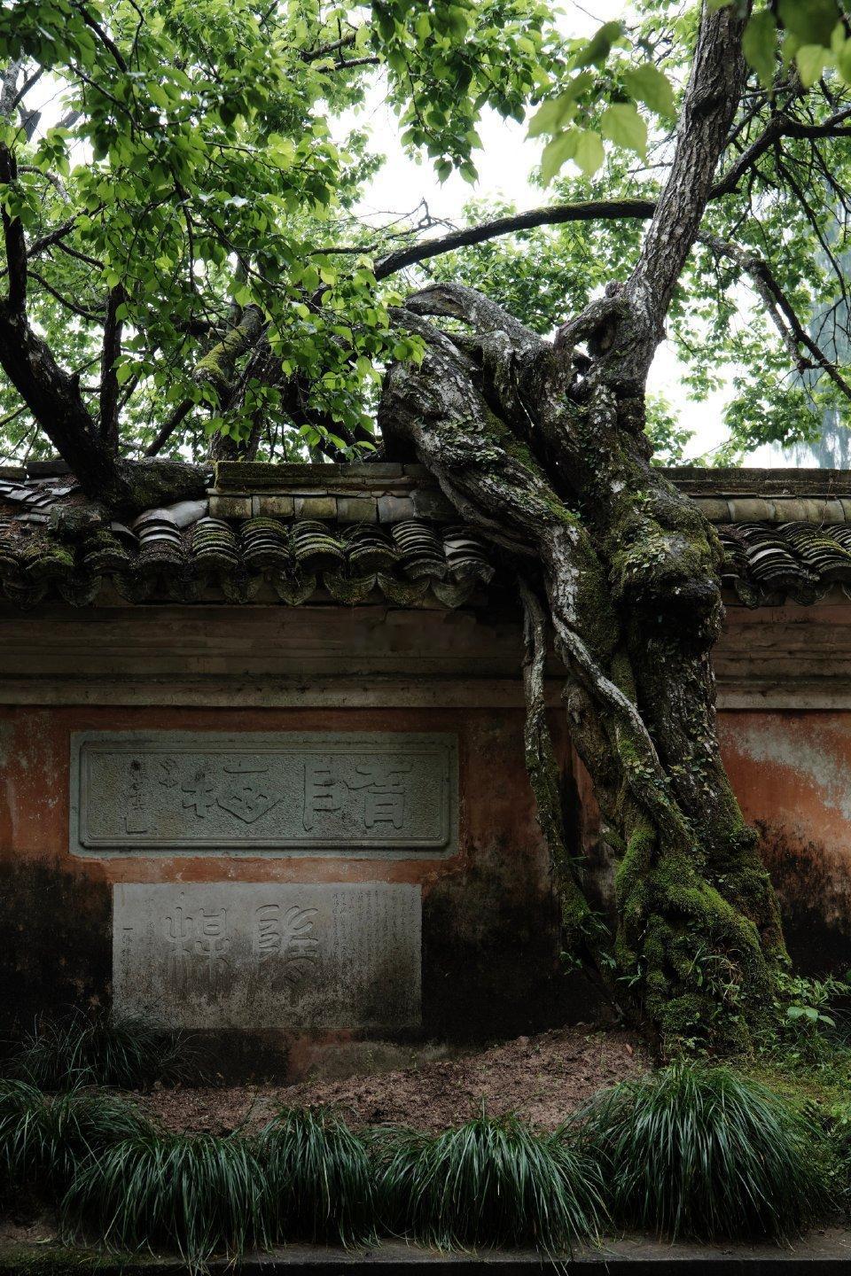 聚焦三大主线，周末利好消息，央行5月25日，开展6000亿元MLF操作，向市场释