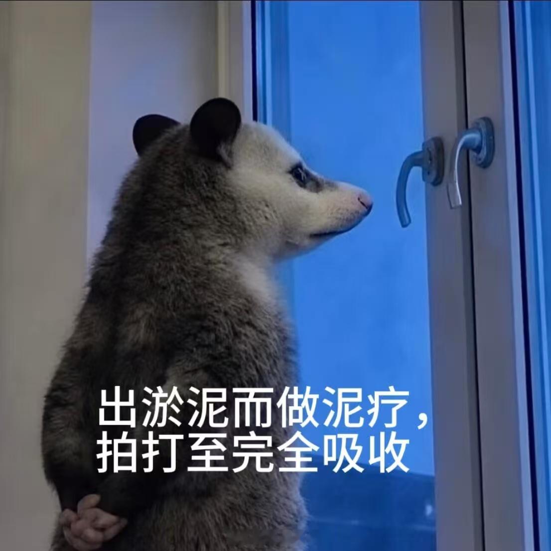 年会2负鼠版完全年会不能停2概念张若昀在片场被猴儿瞪了张若昀对手戏演员是真猴儿