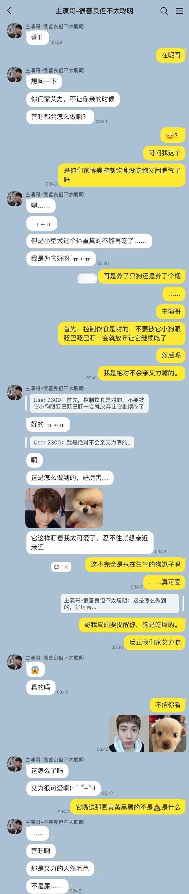 🔊狗主人和狗主人 