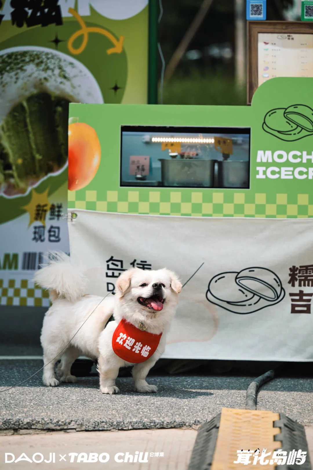 垚店长在它博集玩嗨了