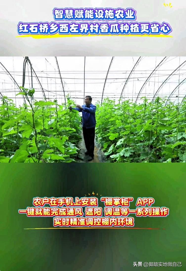 家人们！榆林这波操作太牛了！🤯
榆阳区红石桥乡西左界村，种瓜都用上高科技了！