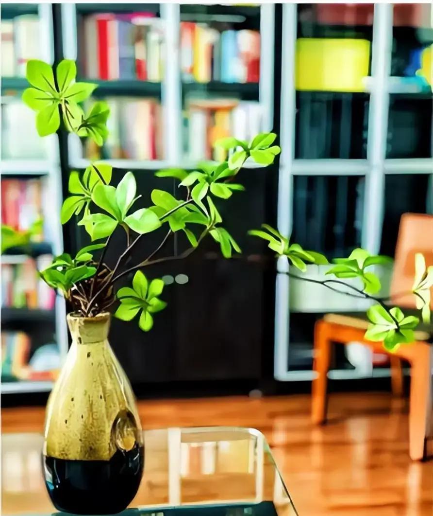 2026年丙午马年，北京初七夜里，一位女子竟七天足不出户，关在书斋狂读恩师毕生著