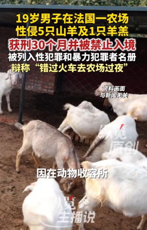 “没救了！”6 月 24 日报道，法国，一男子比较变态，他的欲望无处发泄，竟潜入