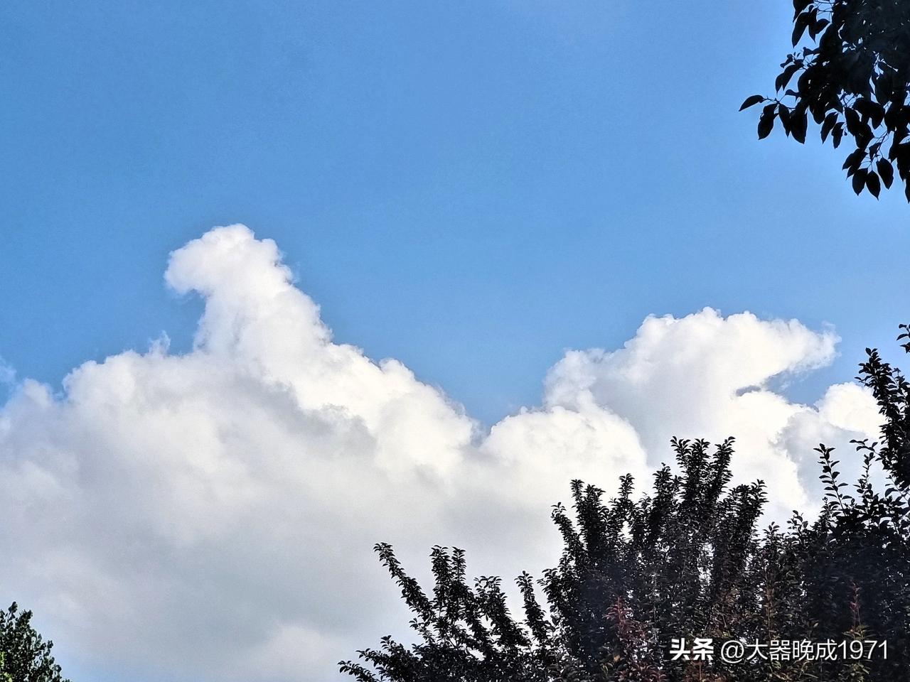 理论上来说，没有感情的婚姻是不会长久的，但现实生活当中往往却被狠狠打脸。

当然