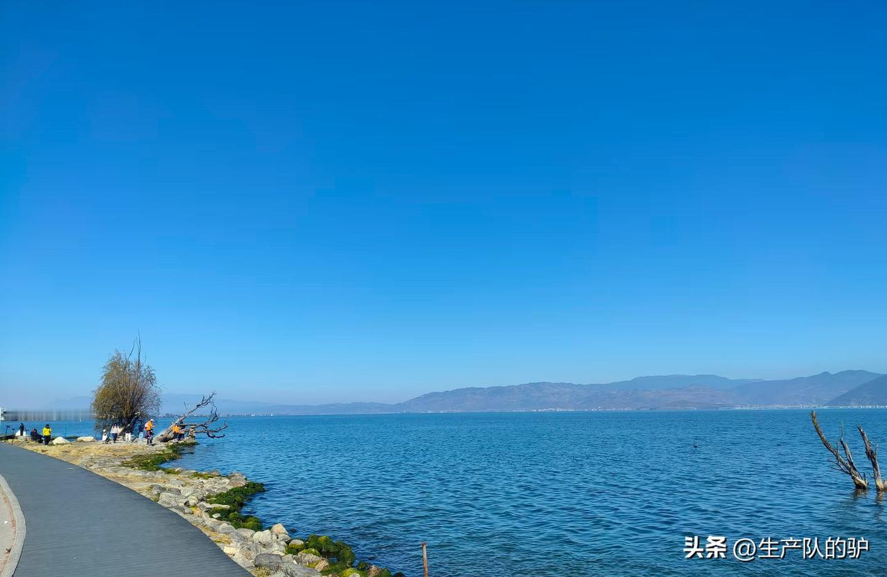 在大理玩了两天，一半是风花雪月的期待，一半是连环踩坑的崩溃！

第一天直奔洱海，