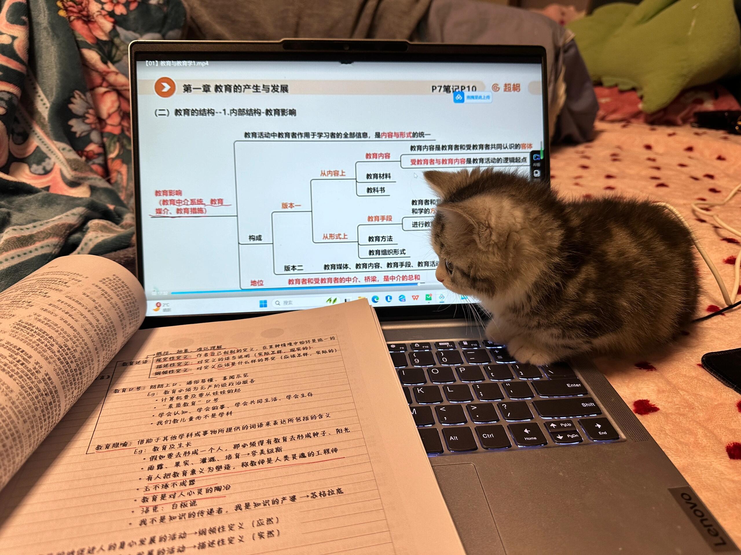 7923【🐱】这小东西能学明白吗 