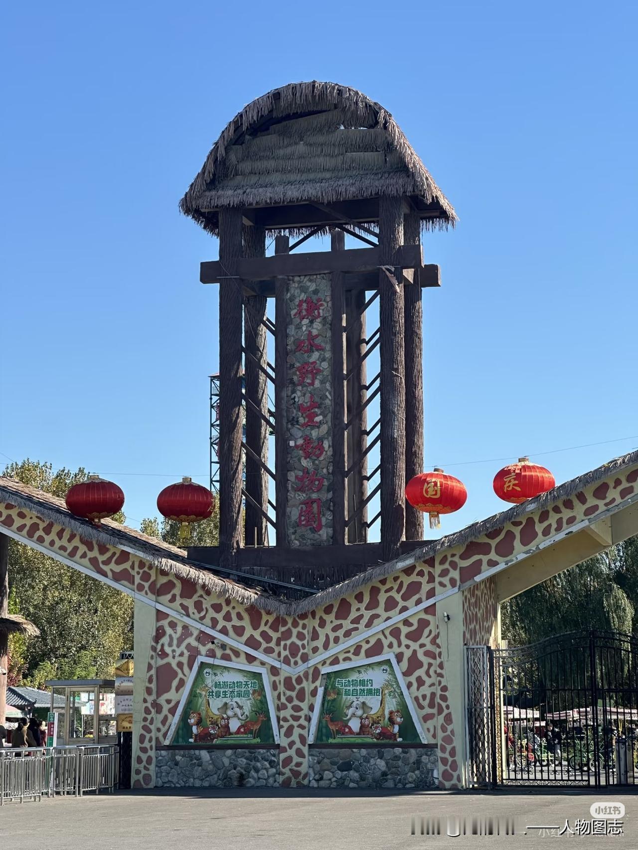 冬日生活打卡季