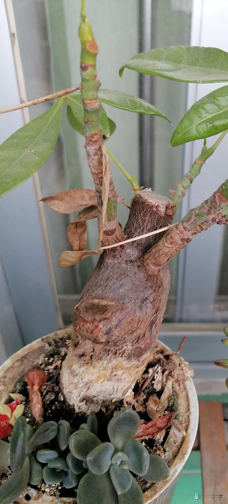 钓了半辈子鱼，差点把家钓没了
 
老周打中年起就爱钓鱼，周末一有空就往河边钻，鱼