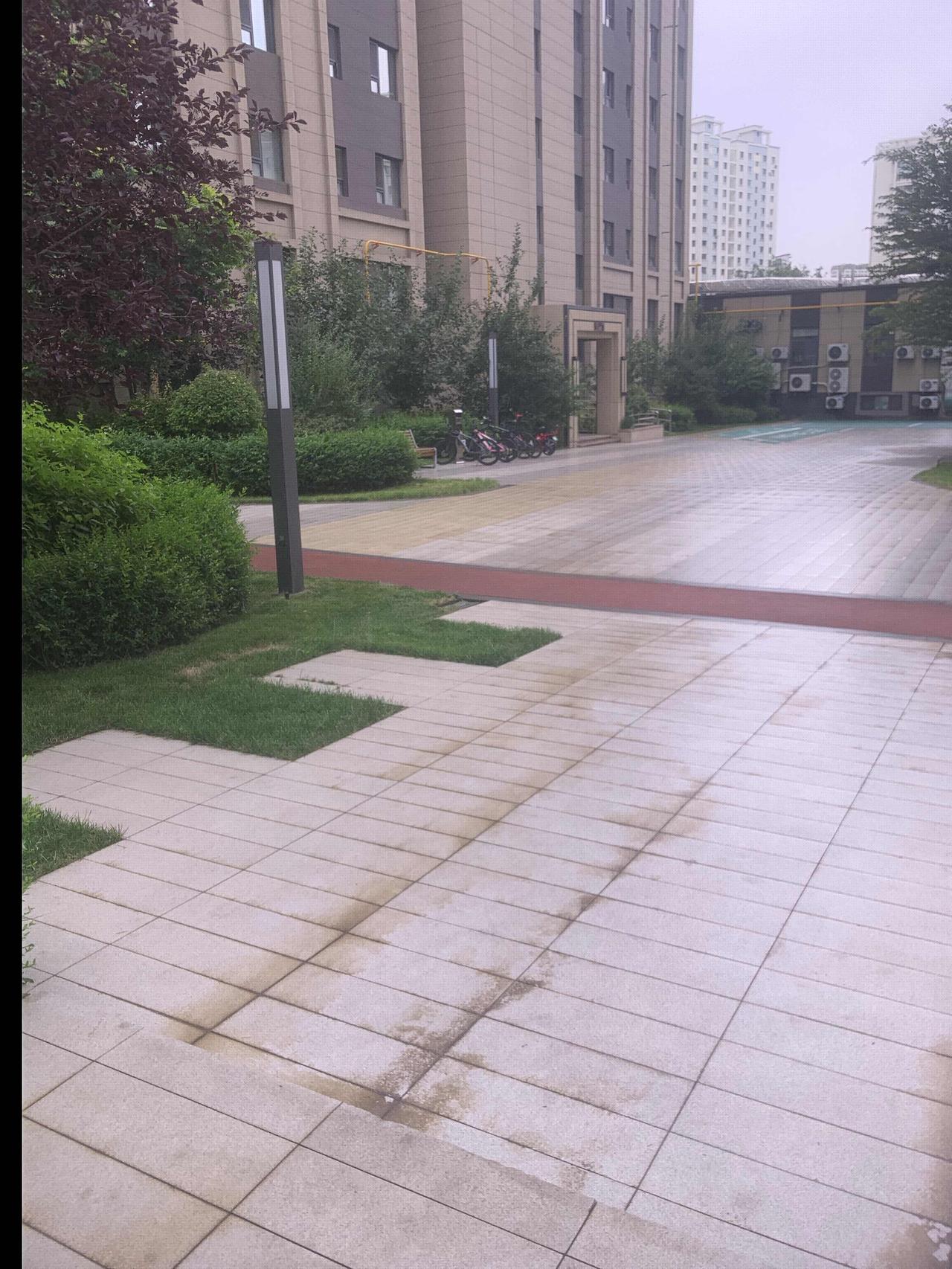 下雨了！终于又下雨了，不过看来又是小雨，可能还是几滴雨！

         刚