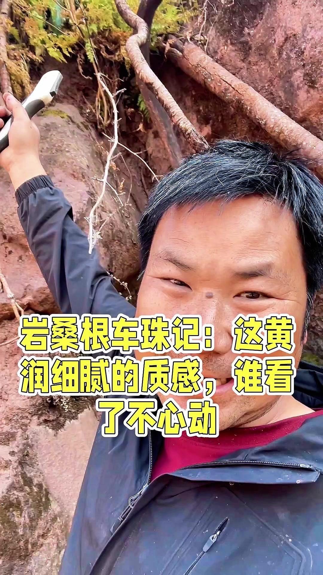 1️⃣选材预备：找到枯死的岩桑根，锯下一小段，观察它的质感——黄润细腻，韧度也不