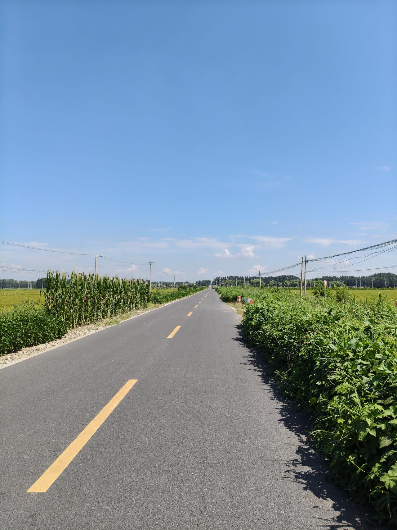 随手拍田间美图大晴天，艳阳高照，虽然光线很强，但也没有那么燥热，很舒适的秋天，水