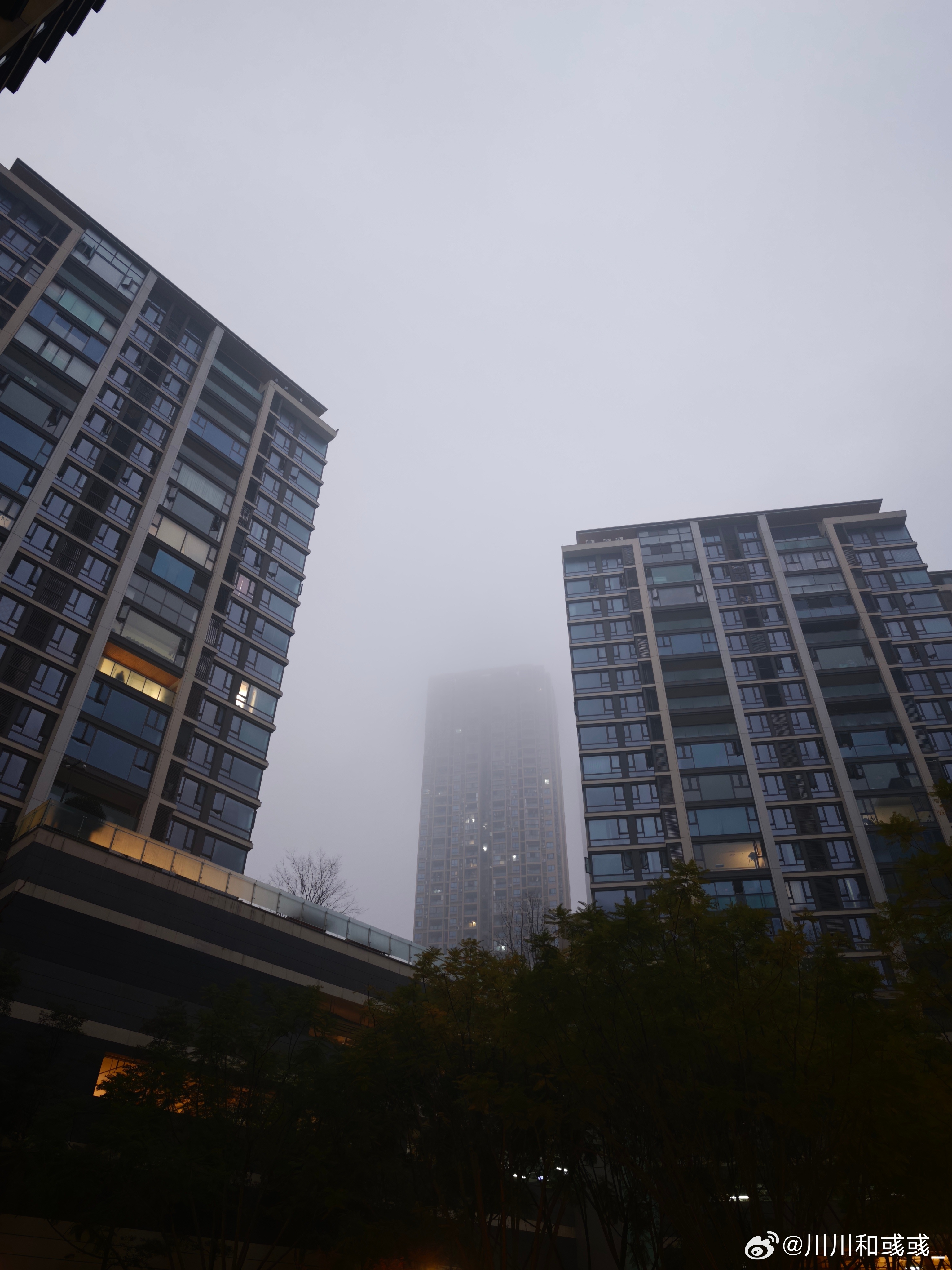 今天这个雾有寂静岭的感觉了