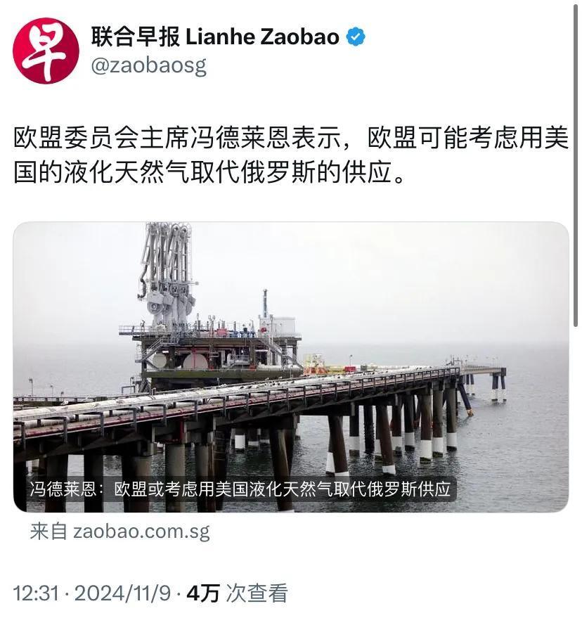 外媒今天（11月9日）报道：“欧盟委员会主席冯德莱恩表示，欧盟可能考虑用美国的液