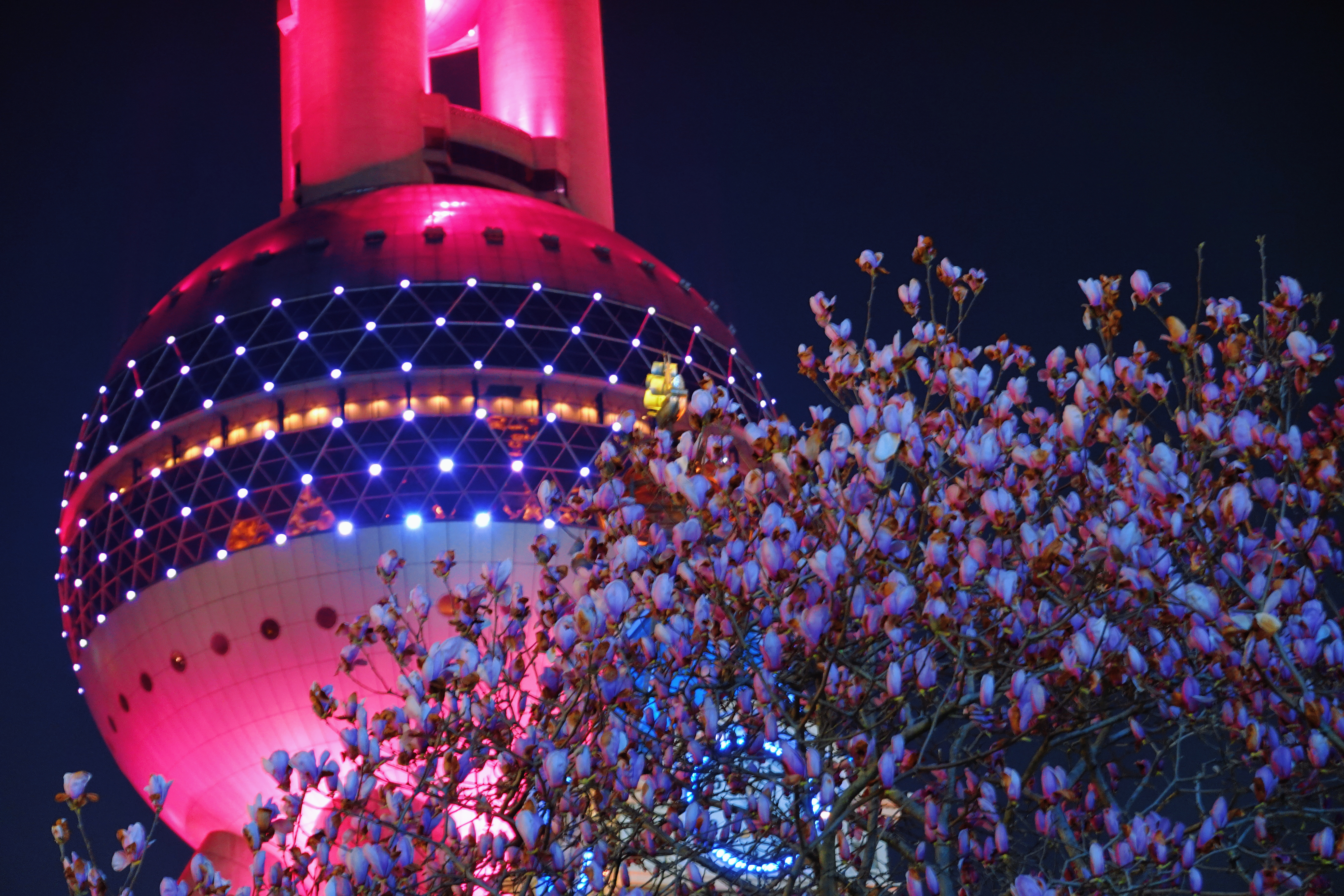 下班继续去另一个机位拍拍拍 