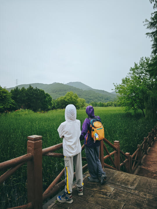 烟雨江南|宁波五乡小浃江徒步环线