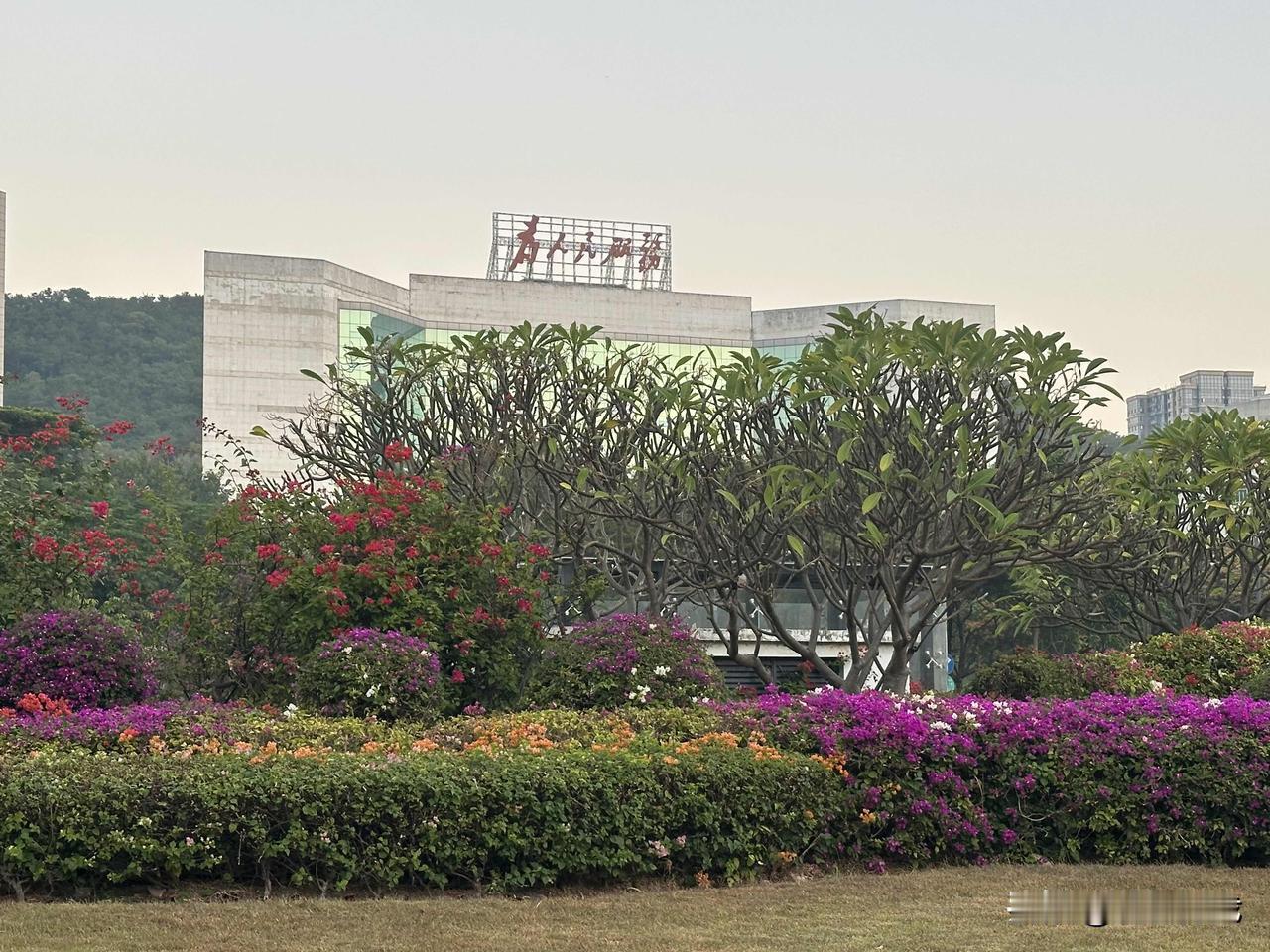 随手拍记录美好的点滴