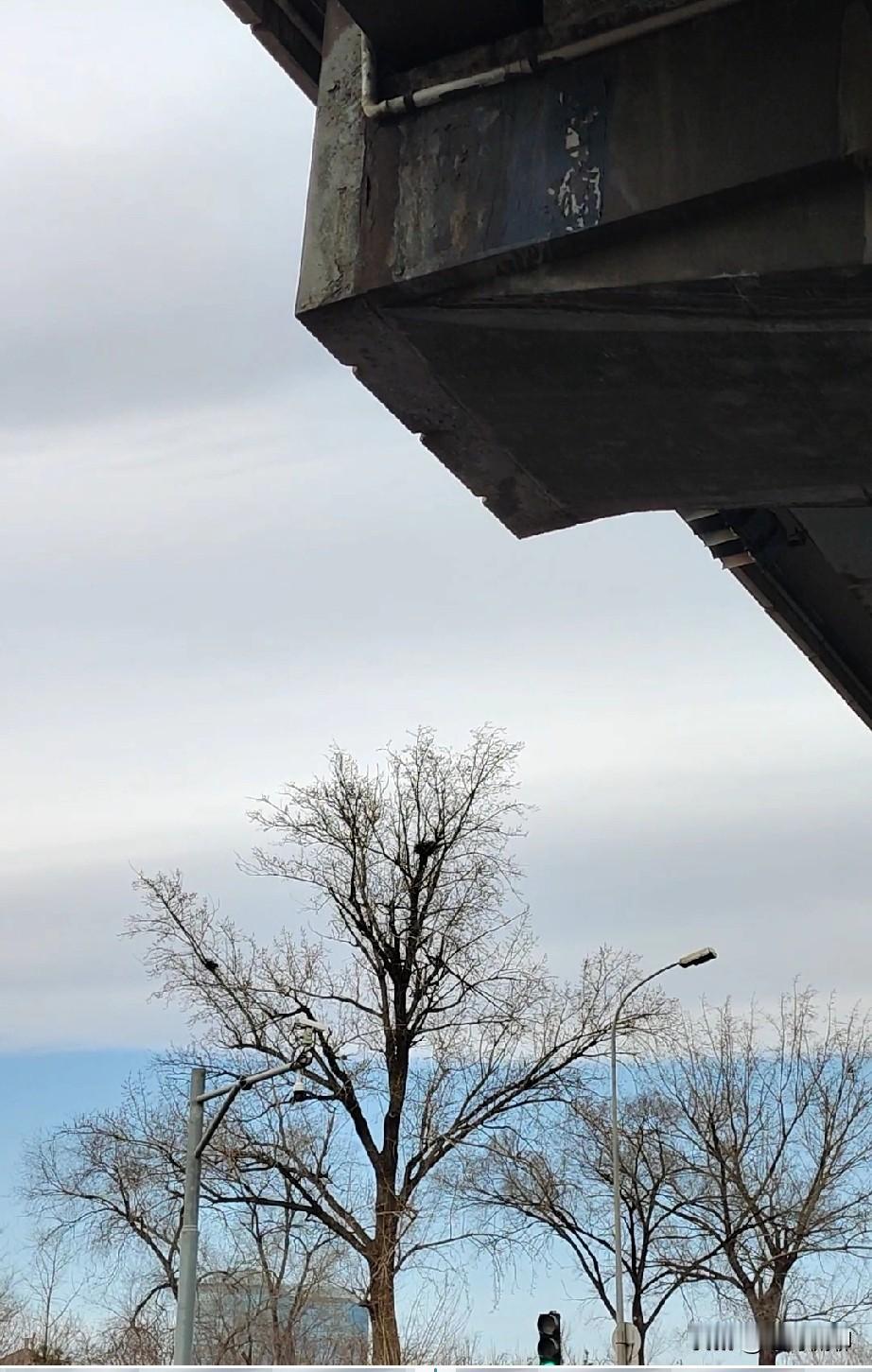 天若有情天亦老，（李贺·唐）
月如无恨月长圆。（石延年·宋）
对的如何？