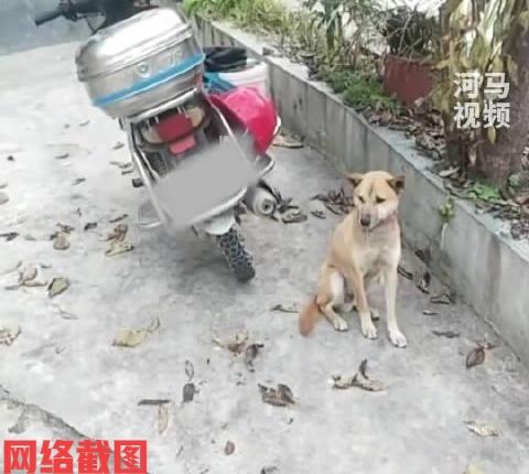 四川绵阳有男子骑摩托车下山外出。

只是自己在骑行途中，驾驶时发生意外摔倒了受伤