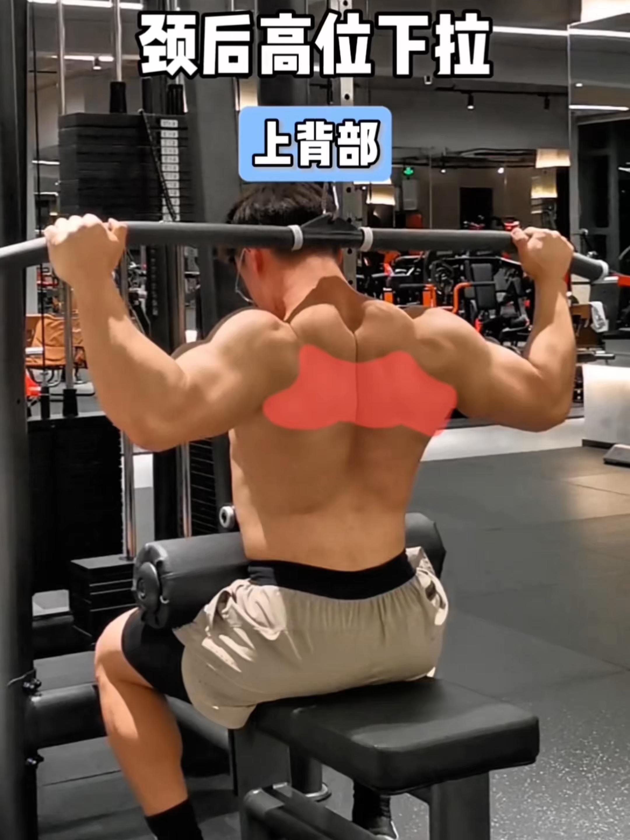 颈后高位下拉，保姆级教程！ 一、目标肌群 颈后高位下拉，上背部 二、练...