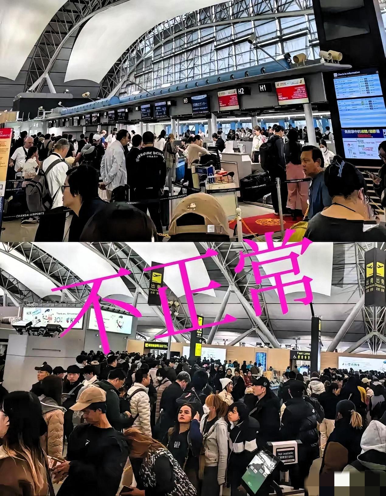 实在想不通！
一边是在日同胞纷纷打包回国避险，一边是在中国的日本人依旧按部就班，